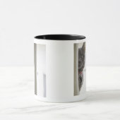 Katze durch Fenster Tasse (Zentrum)