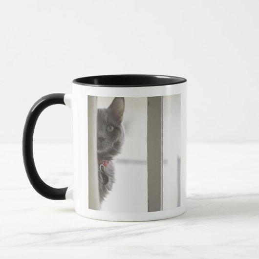 Katze durch Fenster Tasse (Links)