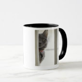 Katze durch Fenster Tasse (VorderseiteRechts)