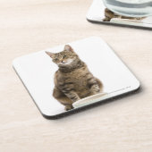 Katze durch Schüssel Untersetzer (Linke Seite)