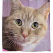 Katze Duschvorhang (Vorderseite)