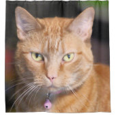 Katze Duschvorhang (Vorderseite)