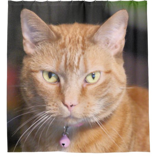 Katze Duschvorhang (Vorderseite)