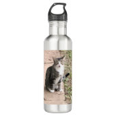 Katze Edelstahlflasche (Vorderseite)
