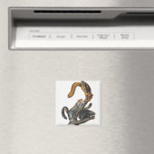 Katze-Eichhörnchen (Sciurus cinereus) Illustration Magnet (In Situ (Geschirrspüler))