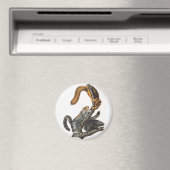 Katze-Eichhörnchen (Sciurus cinereus) Illustration Magnet (In Situ (Geschirrspüler))