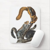 Katze-Eichhörnchen (Sciurus cinereus) Illustration Mousepad (Mit Mouse)