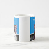 Katze "Ein Nickerchen dafür" Kaffeetasse (Mittel)