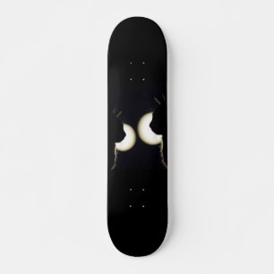 Katze Einbrecher Gesichtet Skateboard