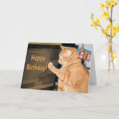 Katze ・ eine ・ stroph ・ Geburtstage nicht erlaubt Karte (Gelbe Blume)