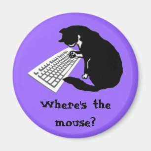 Katze eingeben magnet