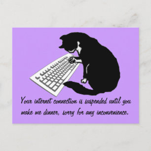 Katze eingeben postkarte