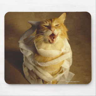 Katze eingewickelt in der medizinischen Gaze Mousepad