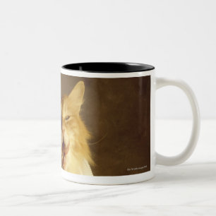 Katze eingewickelt in der medizinischen Gaze Zweifarbige Tasse