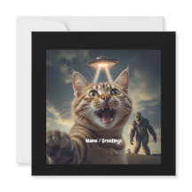 Katze Einnahme von Selfie mit UFO und Bigfoot Funn