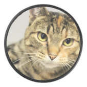 Katze Eishockey Puck (Vorderseite)