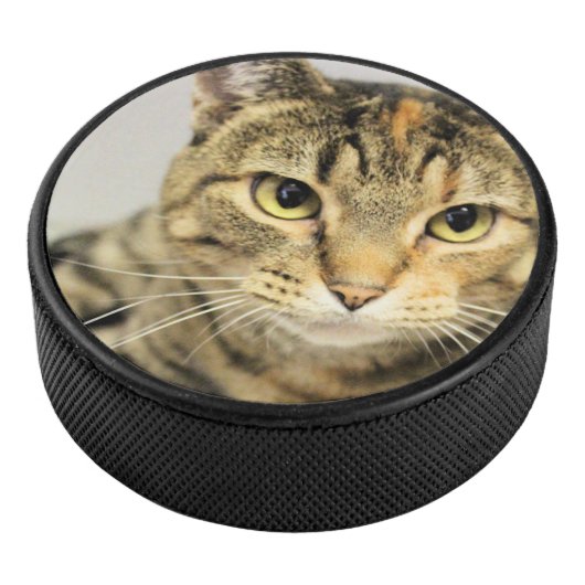 Katze Eishockey Puck (3/4)