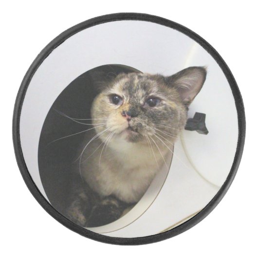 Katze Eishockey Puck (Vorderseite)