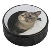 Katze Eishockey Puck (3/4)