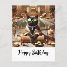 Katze entspannt sich im Wellness-Center