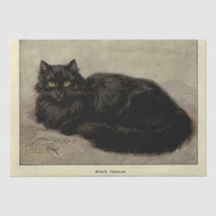 Katze Ephemere Decoupage Black Persian Seidenpapier