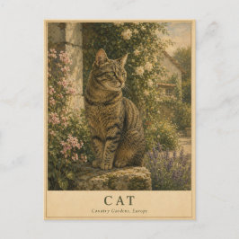 Katze Europäische Landgärten VINTAGE Postkarte