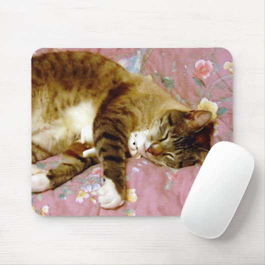 Katze, Fake Katze 2 Mousepad (Mit Mouse)