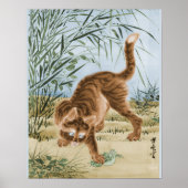 Katze fängt einen Frosch Poster (Vorne)
