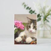 Katze Feiertagspostkarte (Stehend Vorderseite)