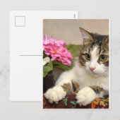 Katze Feiertagspostkarte (Vorne/Hinten)