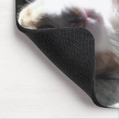 Katze Felines Mauspad! Mousepad (Ecke)