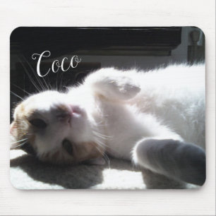 Katze Felines Mauspad! Mousepad