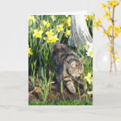 Katze, Fell oder Spiel, Geburtstag Karte (Gelbe Blume)