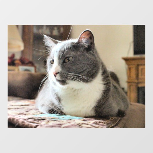 Katze Fensteraufkleber (Blatt)