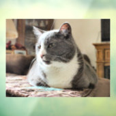 Katze Fensteraufkleber (Blatt 3)