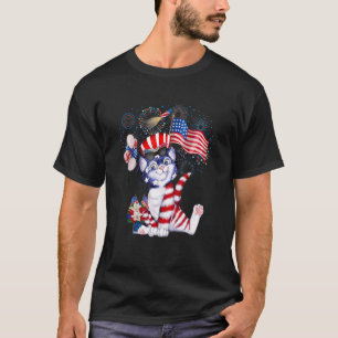 Katze Feuerwerk 4. Juli Amerikanische Flagge Patri T-Shirt