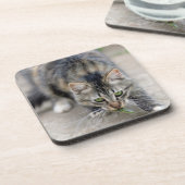 Katze fing eine Eidechse Untersetzer (Linke Seite)