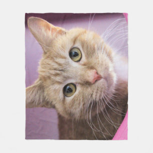 Katze Fleecedecke
