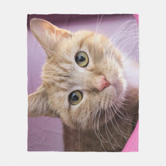 Katze Fleecedecke (Vorderseite)