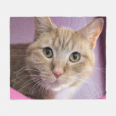 Katze Fleecedecke (Vorderseite (Horizontal))