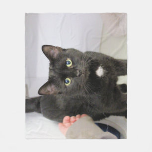 Katze Fleecedecke