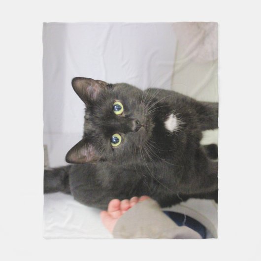 Katze Fleecedecke (Vorderseite)