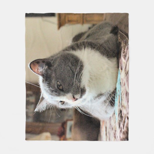 Katze Fleecedecke (Vorderseite)