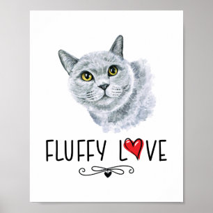 Katze Fluffige Liebe Kitty Miauen Portrait Poster
