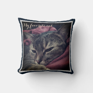 Katze, Foto, Haustiere, lustige Katze Kissen