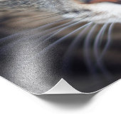 Katze Fotodruck (Ecke)