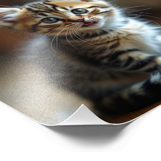 Katze Fotodruck (Ecke)