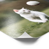 Katze Fotodruck (Ecke)