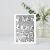 Katze, Freundschaft & Ehe, Braut, Louis Wain Postkarte (Stehend Vorderseite)