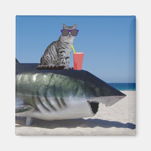 KATZE FÜR STRANDSCHARFZAHN MAGNET (Vorne)